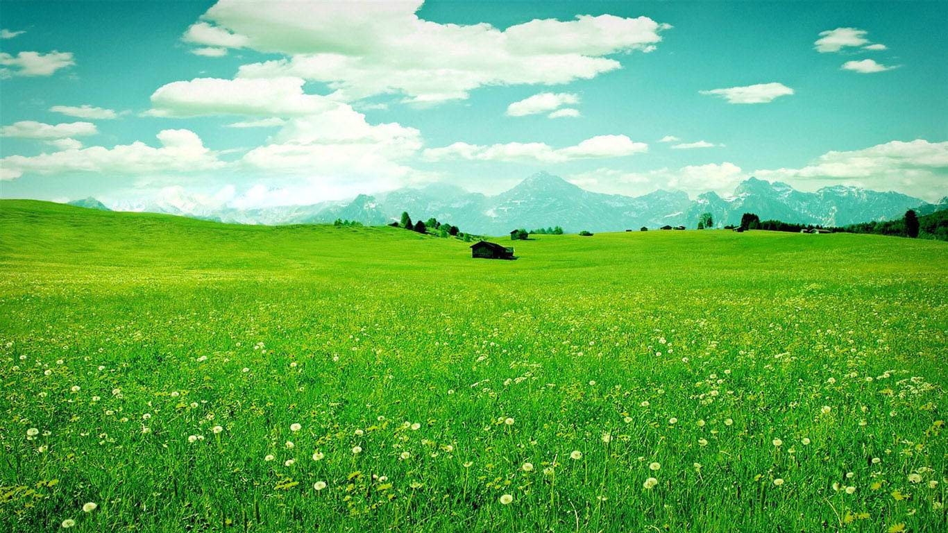 古诗欣赏-杜甫经典诗十首