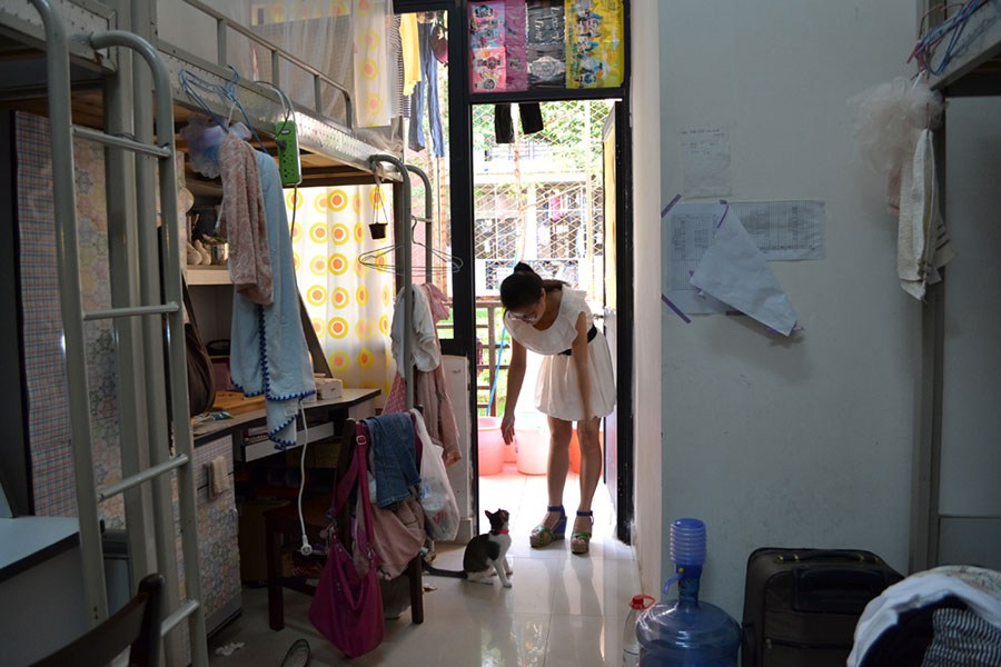 教育部规定，不允许在校大学生校外租房，家长直呼可以放心了