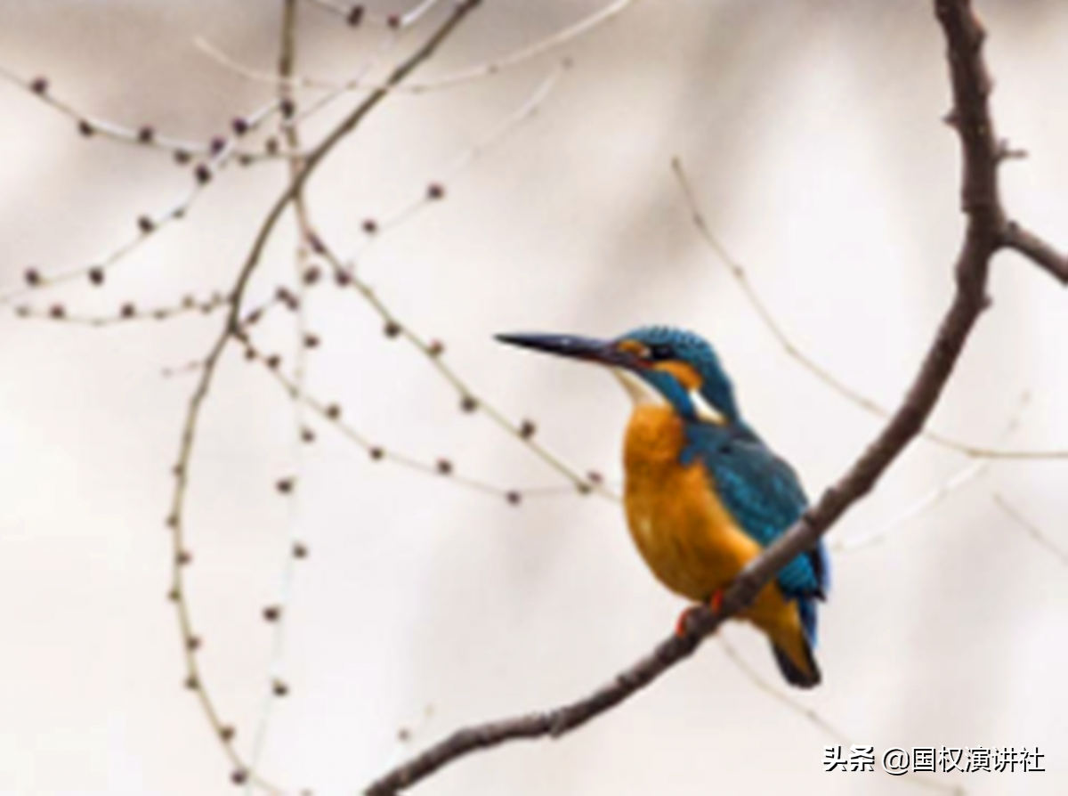 大二男生被女友父亲带走杀害焚尸，女友才15岁读高一，这叫错爱