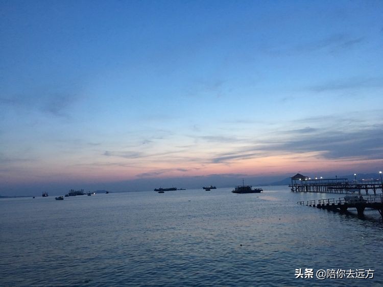 西沙~南海中的一片莲