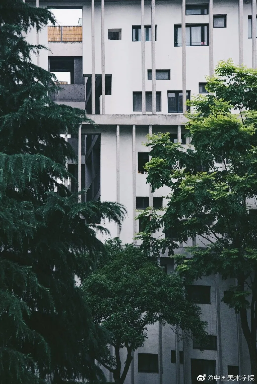 艺考资讯 | 九大美院的校园景色battle，也是神仙打架