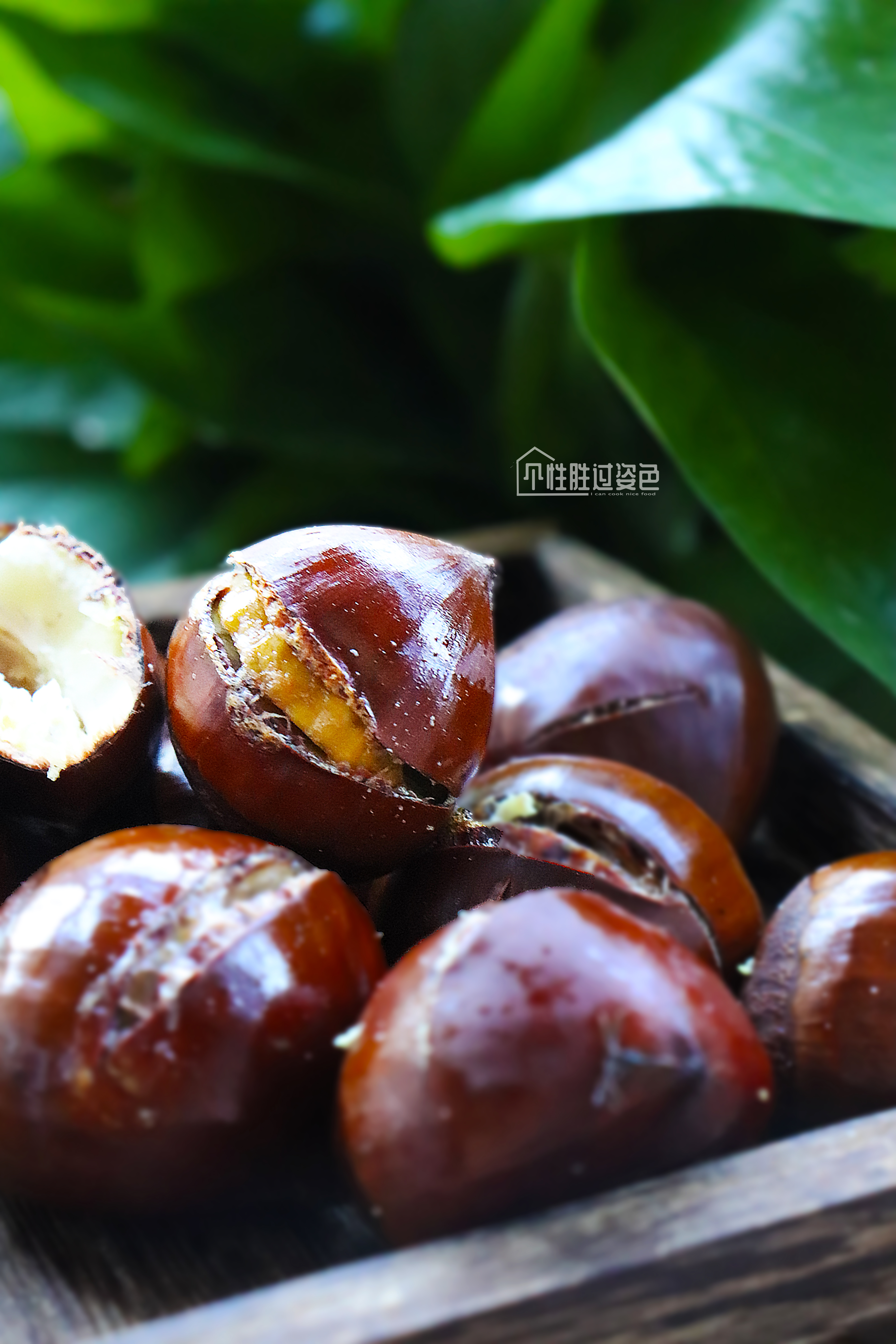 糖炒栗子技术培训（解锁电饭锅新技能）