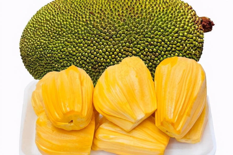 菠萝蜜红肉和黄肉有什么区别