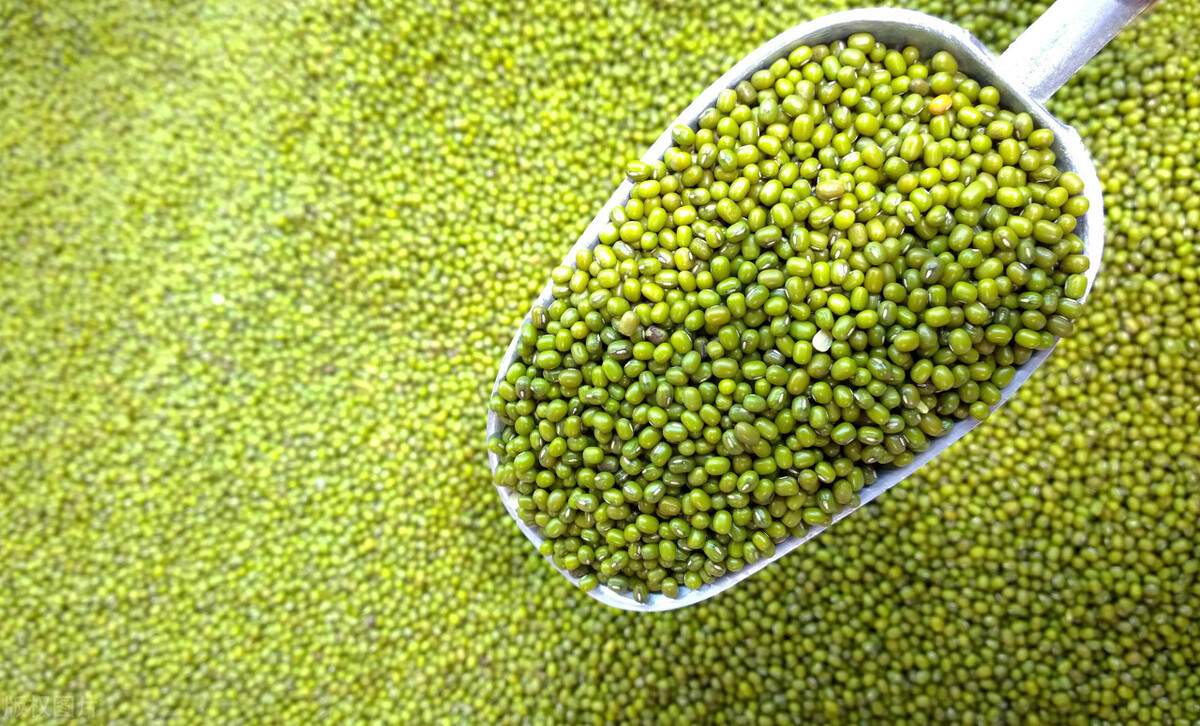 为什么有些煮熟的绿豆不能煮熟