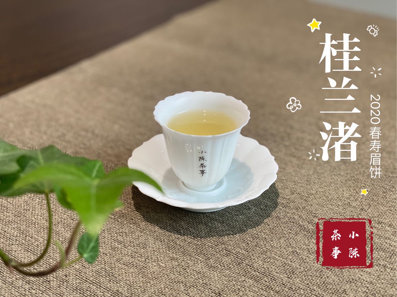 撬白茶饼的错误方法，老虎钳我忍了，微波炉加热是什么操作？