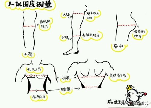 6种不同的体脂测量方法，把你的身体状况牢牢抓在自己的手中