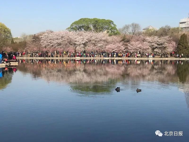 玉渊潭在哪（玉渊潭在哪个区）-第8张图片-华展网