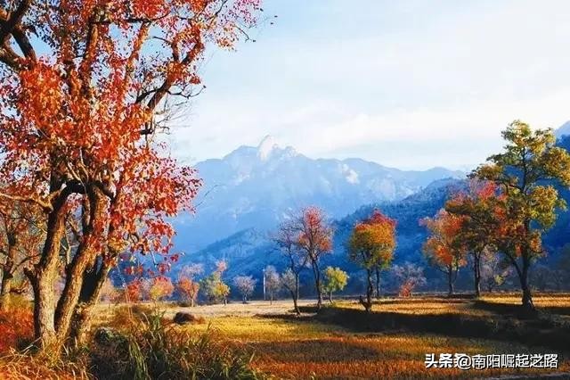 南阳风水(中原地区最重要的一块风水宝地——南阳盆地)