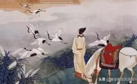 人生得意须尽欢,请放肆开心、放肆笑