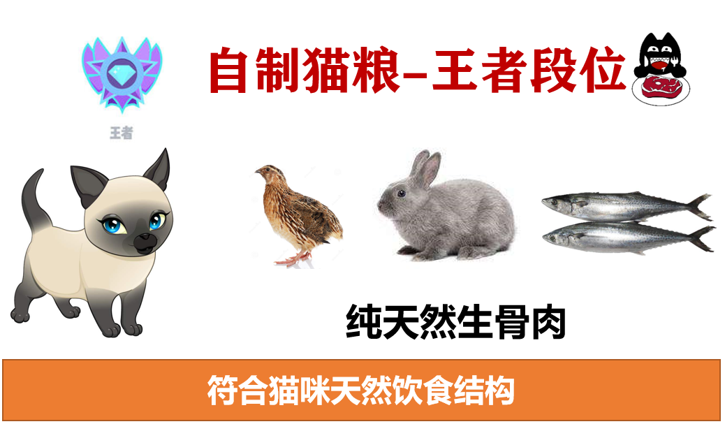 自制猫罐头做法（自制猫罐头做法大全）-第12张图片-昕阳网