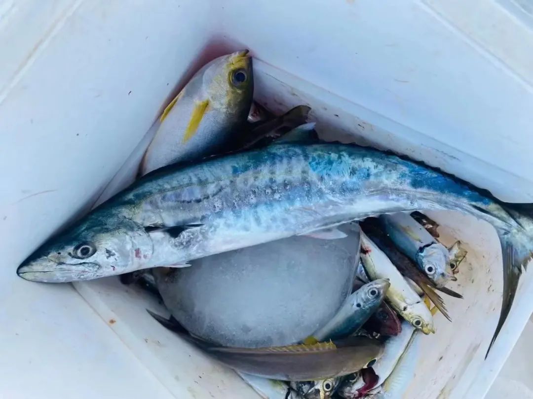 全国高校美食大赏！北大清华复旦不是最让人羡慕的......