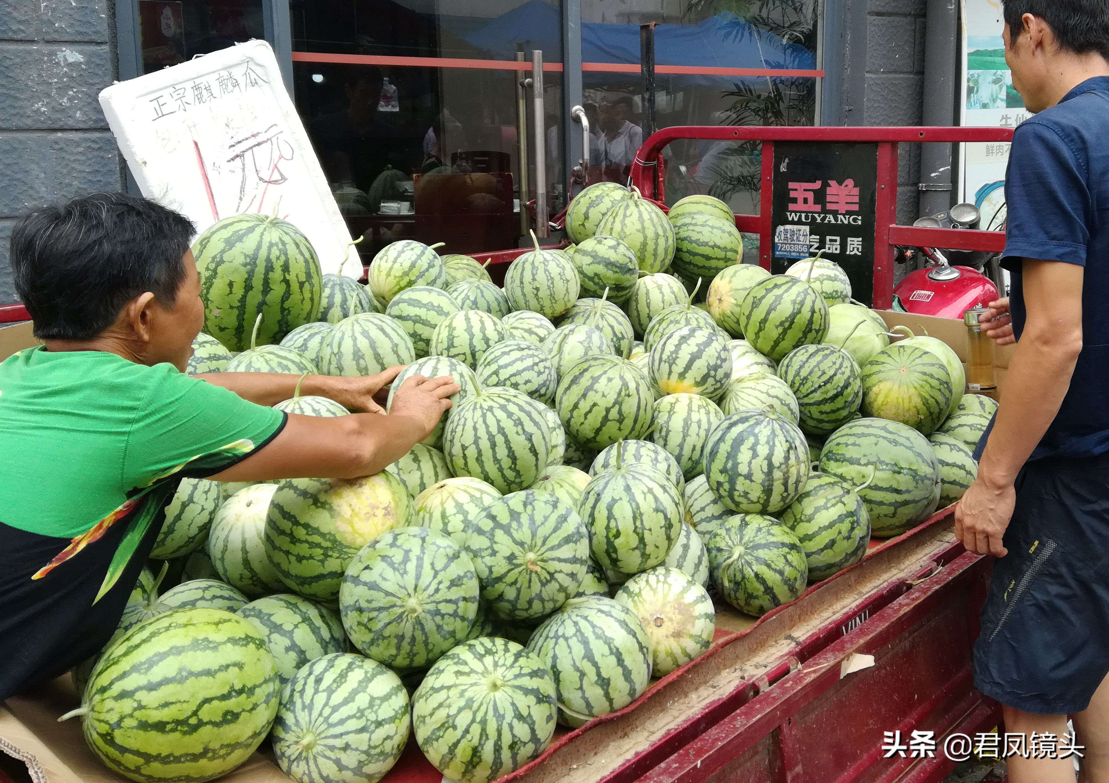 湖北西瓜价格今日行情（今日麒麟西瓜价格）