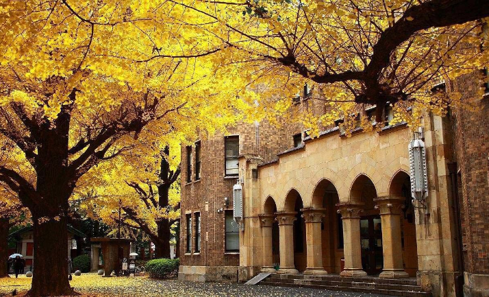 大学官网（手把手教你在日本大学官网查情报）