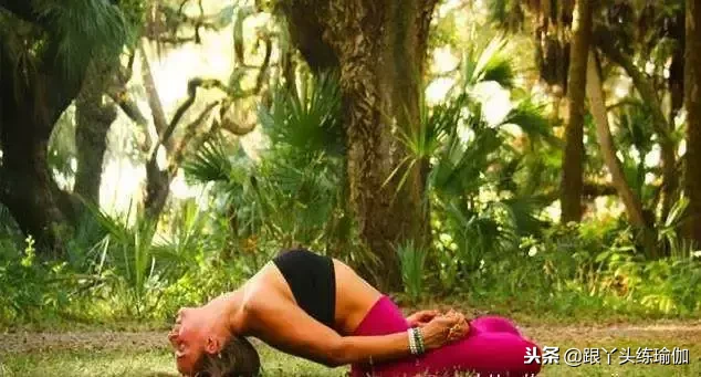 关于瑜伽的神话故事：瑜伽是从哪儿来的？