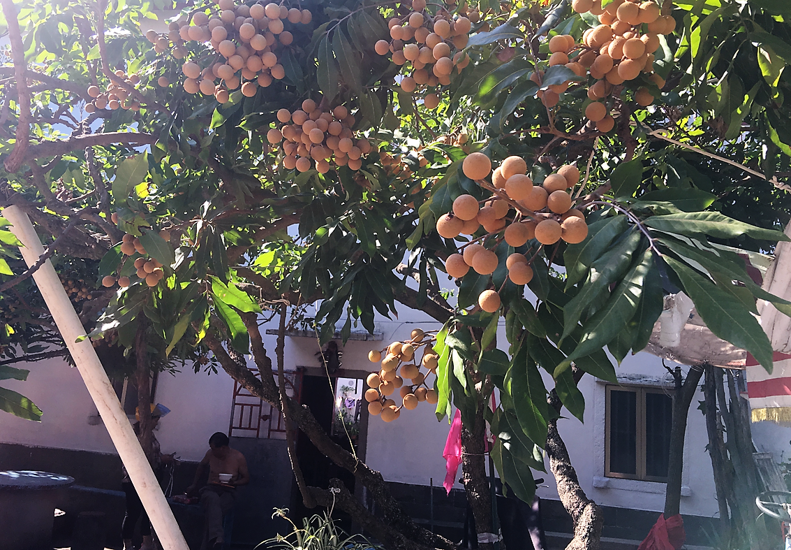 被莆田系遮蔽的莆田：状元人数全国第二，闽B，还有妈祖、南少林