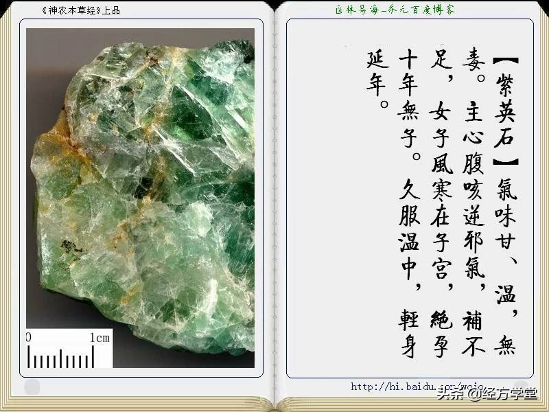 《神农本草经》全册图文解析 建议收藏