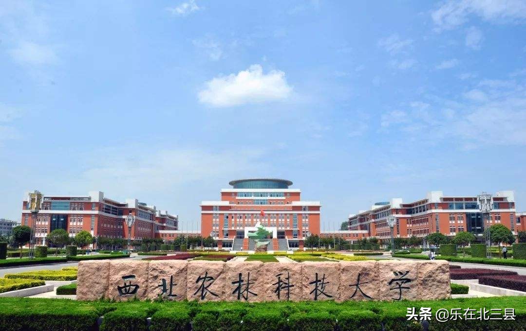 2020年陕西省最好大学排行榜，前十名的高校，西安占九个