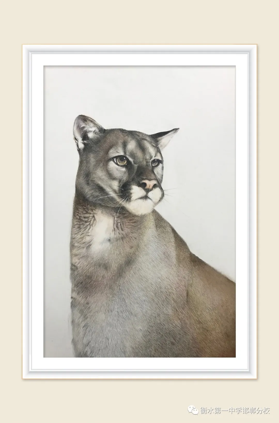 衡水一中邯郸分校｜2020美术特长生招生简章