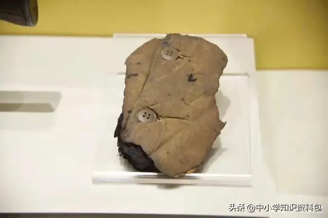 适合小学生讲的英雄故事（中小学生必读的红色英雄故事）