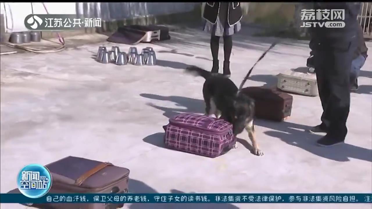 南通：勇敢狗狗不怕困难 搜救缉毒样样行