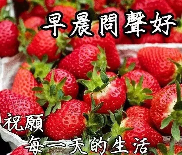 心有多近，言行才有多近，我不问，你不说，这就是距离，早安