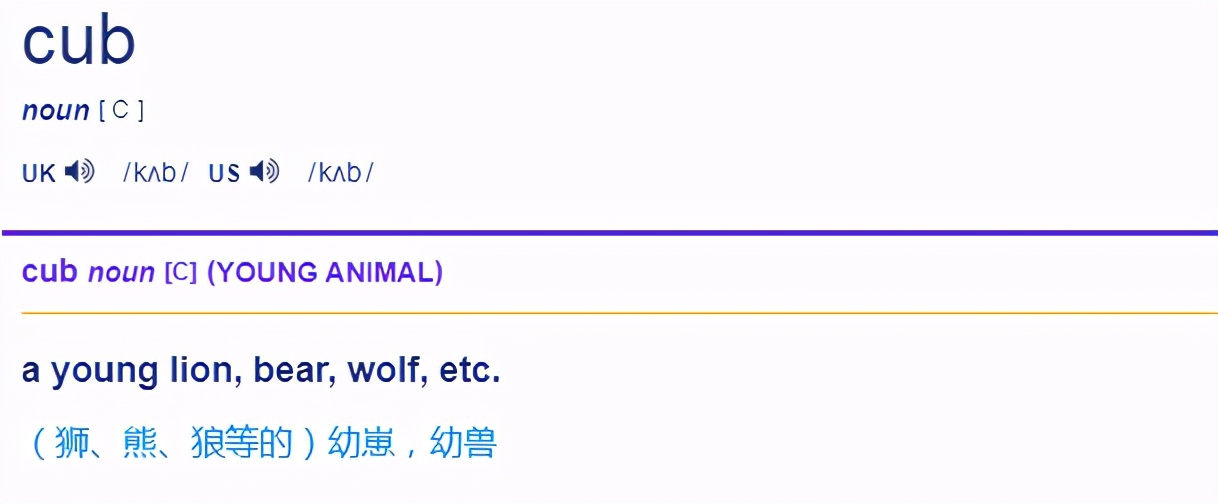 猫的英文是cat，那“小奶猫”的英文是啥？总不能说little cat 吧