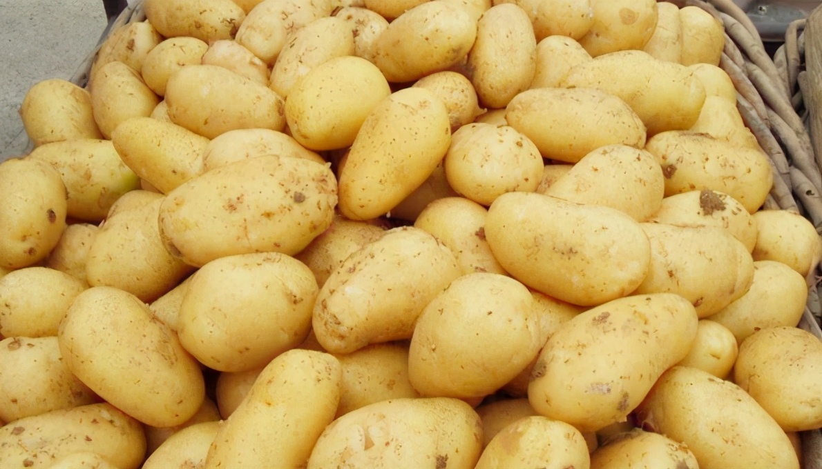 土豆能放多久（牢记3个好方法土豆不发芽不变质）