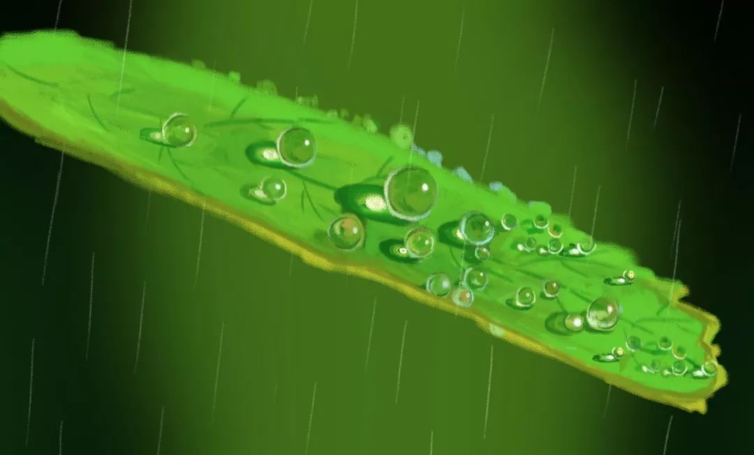 20首春雨诗词，一朝春雨过，万物皆清明