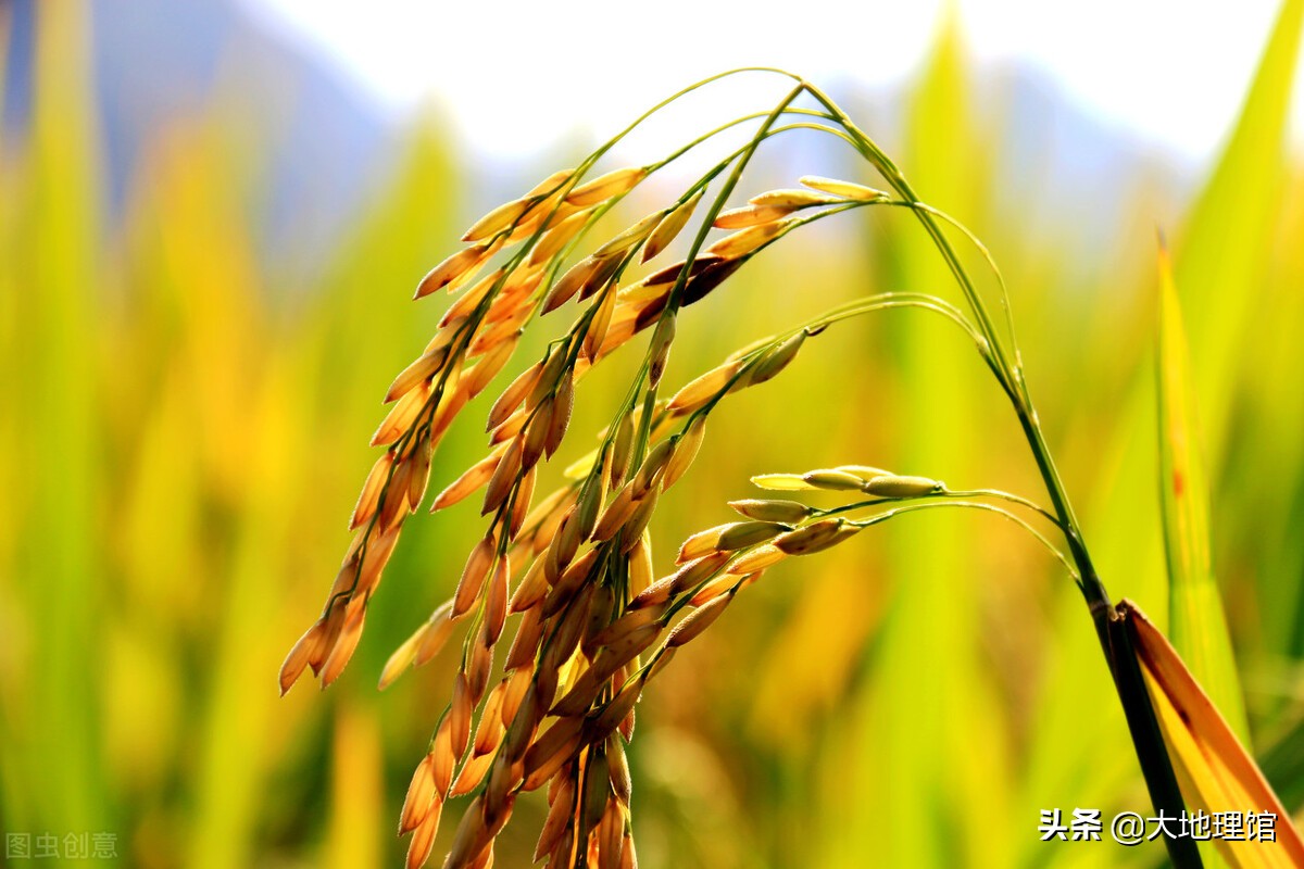 浙江最“硬”的地方，为什么是永康？