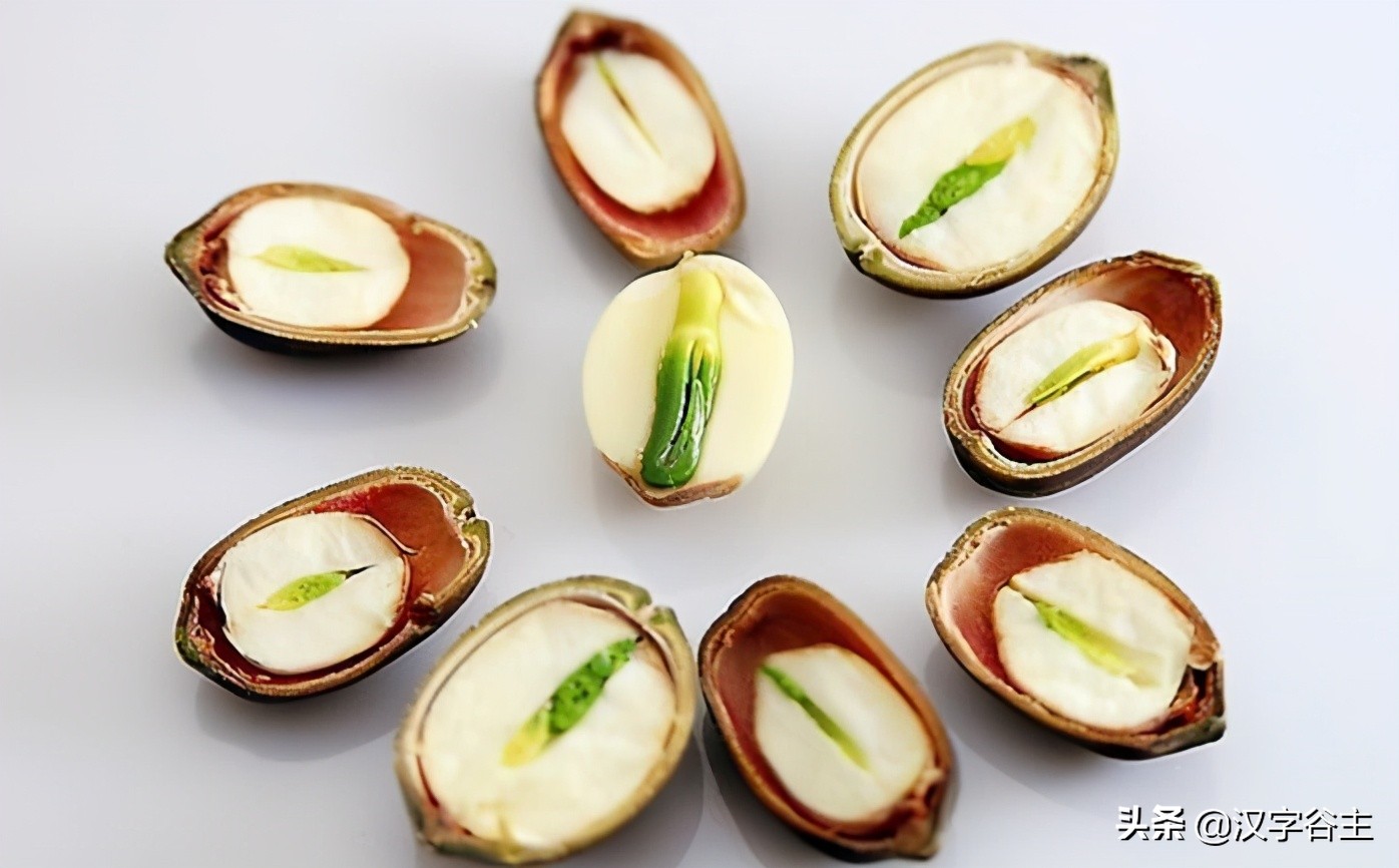 荷花有关知识及字词诗文（闲情偶寄芙蕖）