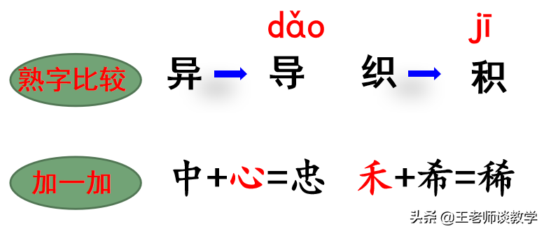 如果你在野外迷了路(二年级语文下册《要是你在野外迷了路》学案 练习题，快收藏吧！)