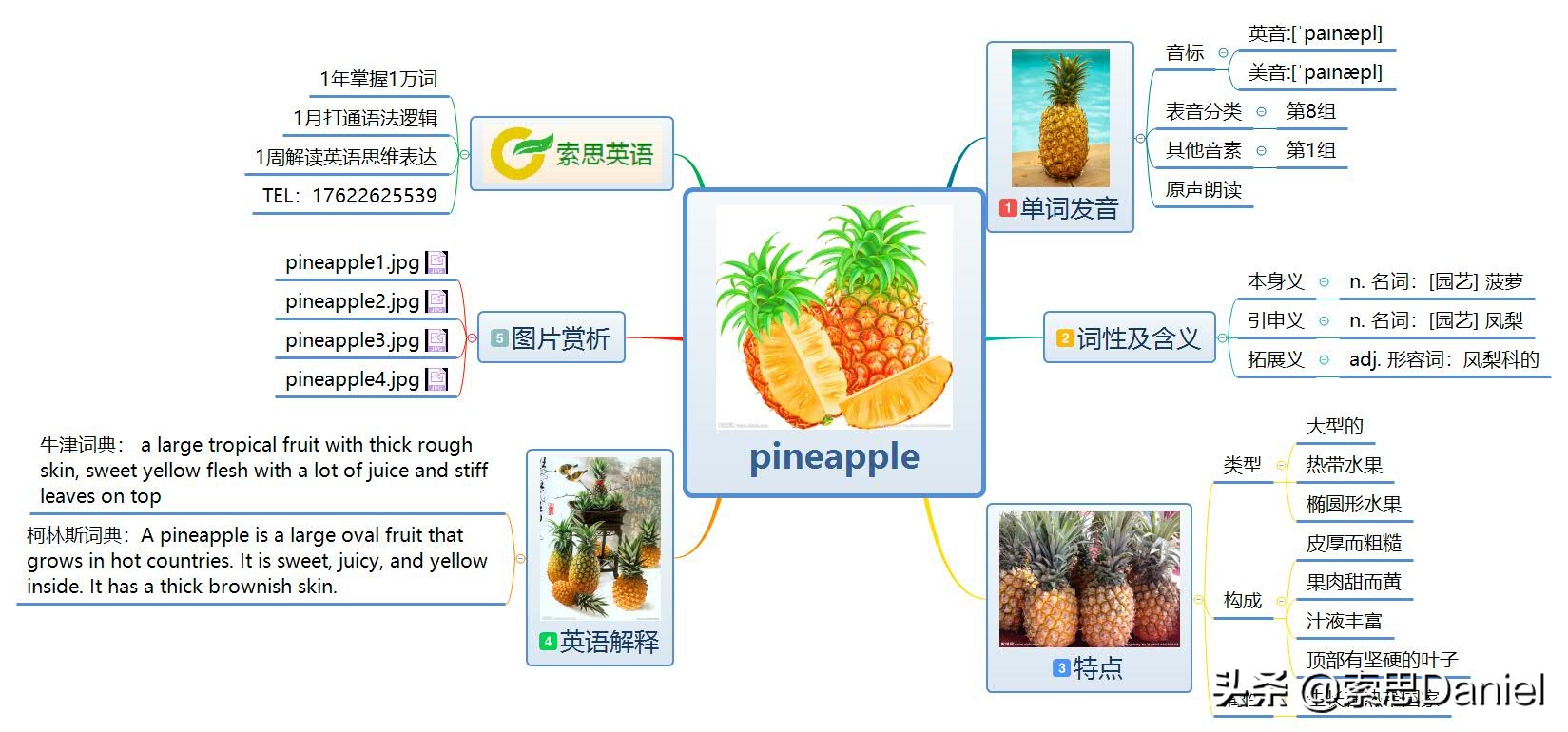 pine怎么读（pineapple怎么读英语单词）