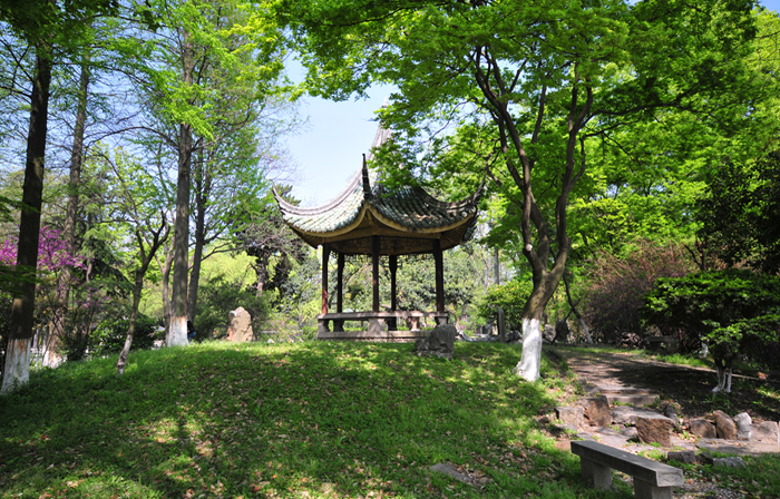 苏州大学2019年专业录取分数线，北京、天津、河北、辽宁、吉林等