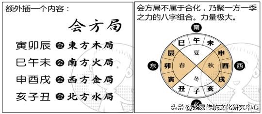 地支的阴阳属性及运行规则是什么？