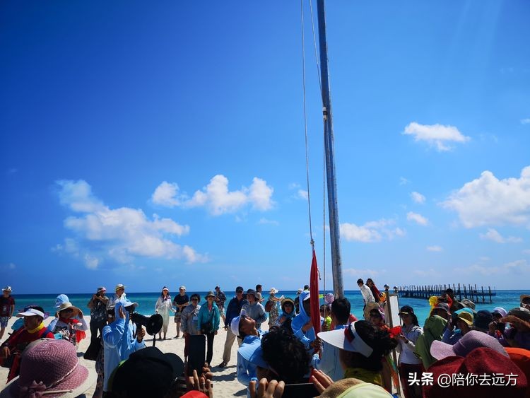 西沙~南海中的一片莲