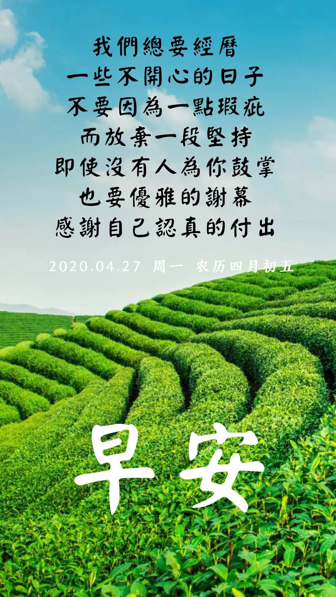 新的一周早上好正能量阳光问候语句：你要悄悄拔尖，然后惊艳所有人