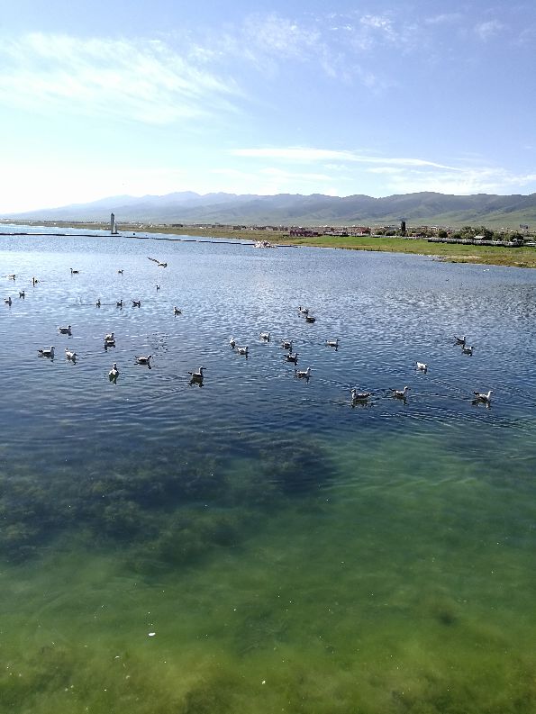 中国最大的咸水湖：青海湖