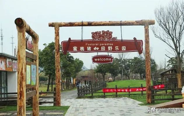 国内第一个盈利的田园综合体，看她有何绝招？