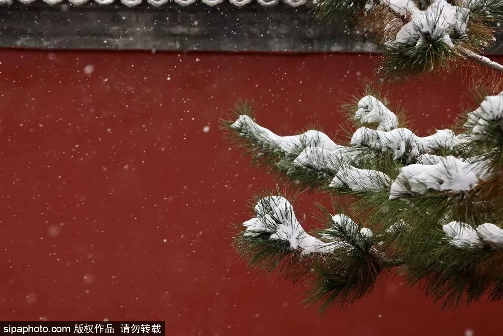 节气小雪丨天寒地冻，北京这里桃花却开了！（文末有福利）