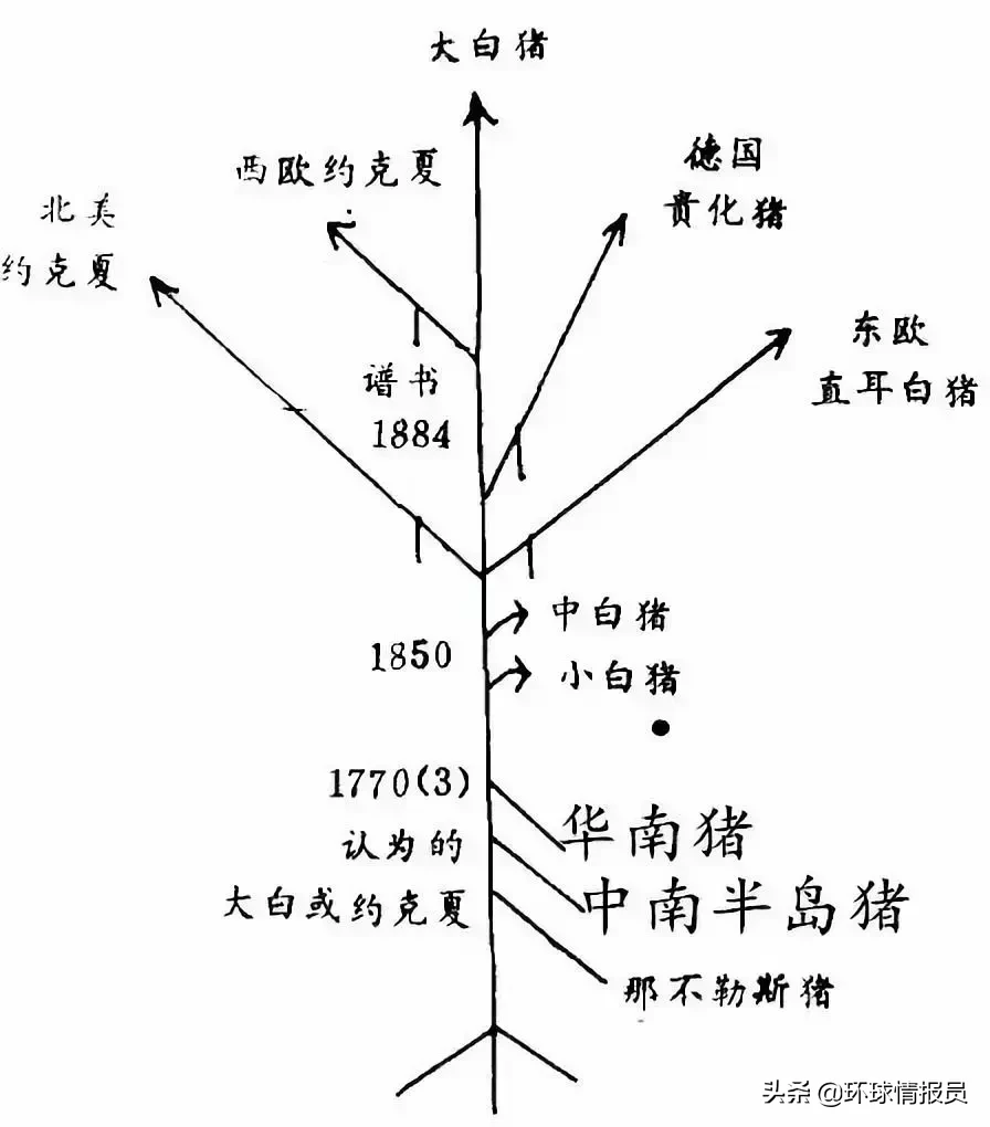 豖字的含义
