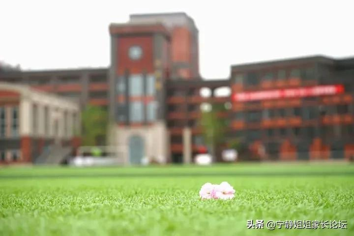 初升高家长注意！这7所公办高中，值得你关注