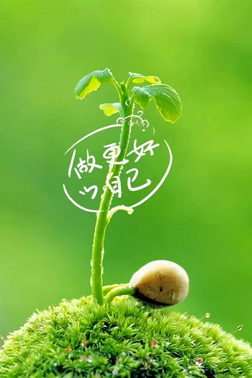 10.29」早安心语,周五早上好正能量励志语录经典带字图片