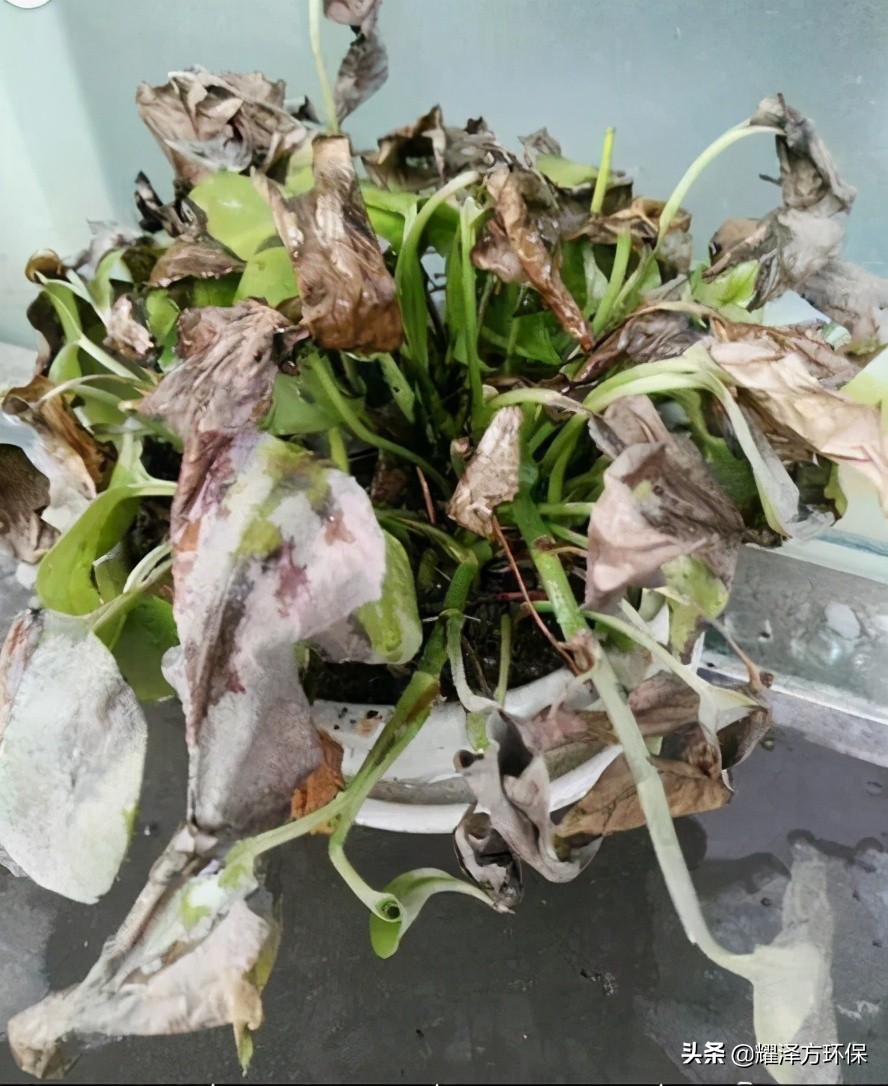 绿色环保施工方案便宜151