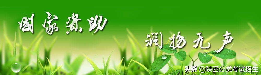 立德 笃学 修能 致用 ‖ 西安职业技术学院