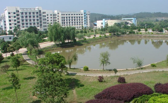 2019年龙南中学高考喜报