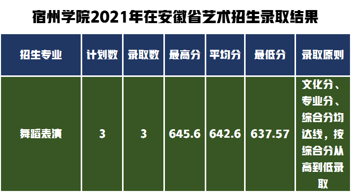 宿州學院2021年在安徽藝術二批(統考本科)招生錄取結果公告,計劃335