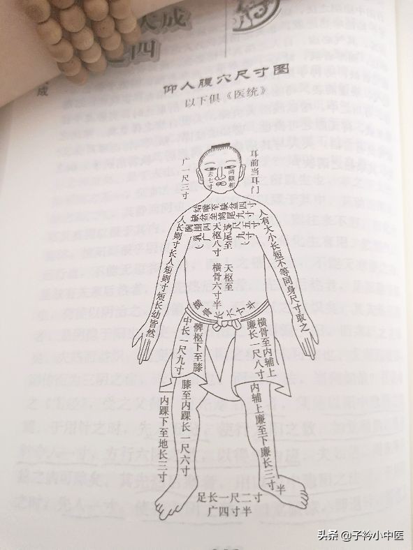 分寸示意图图片