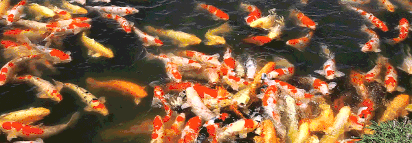 都听我的！知识点都在这儿了！2019年CPA考试，稳了