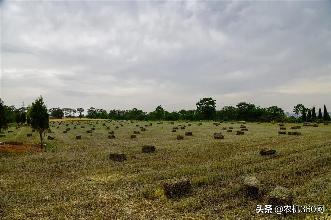 2020年最值得期待的10大農(nóng)機(jī)品類