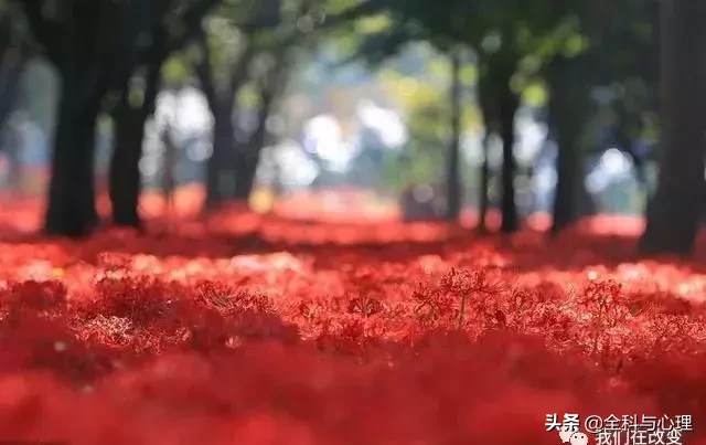 这四种人最有福气，你是哪一种呢？